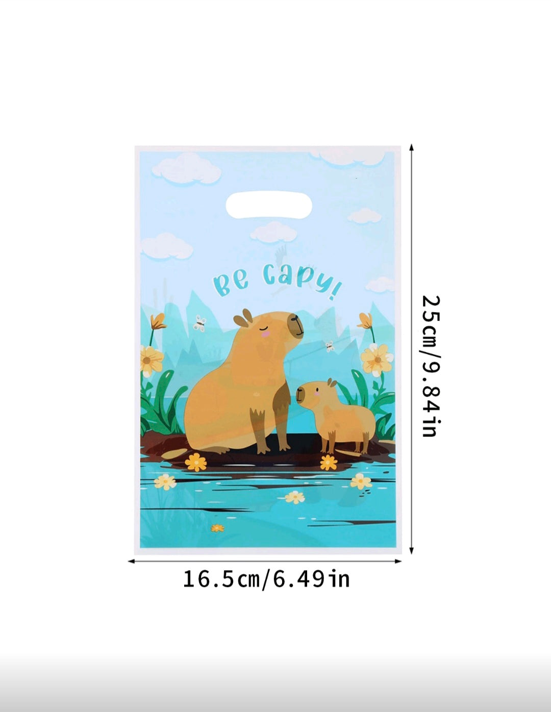 Bolsas para cumpleños