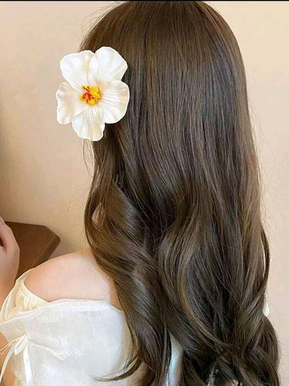 Pinzas P/Cabello